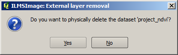 Abfrage beim Entfernen eines externen Layers aus dem ILMSImage-Projekt