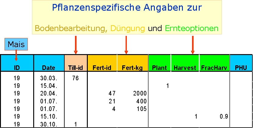 Pflanzenwaschtumsmodul4.jpg